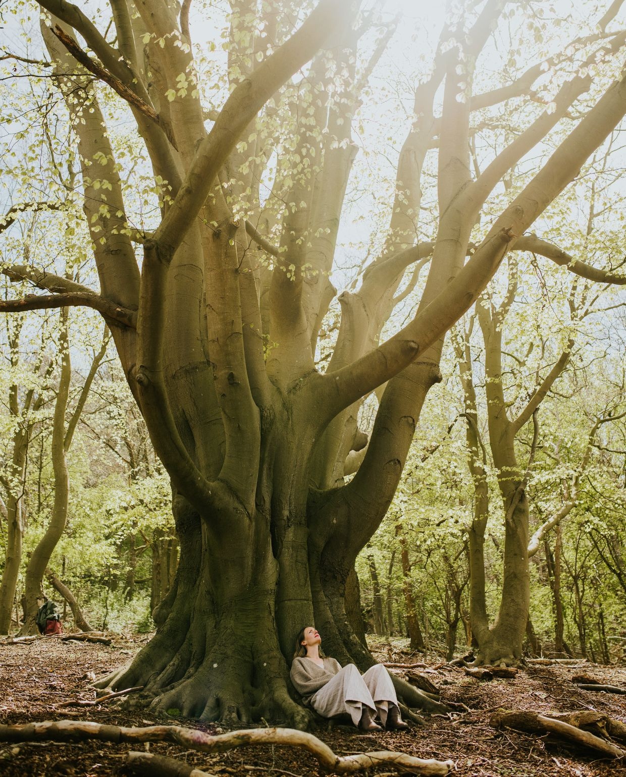 theforestbathingcircle.com vtwonen Zomerspecial 2026 | fotografie Tumbleweed and Fireflies Photography