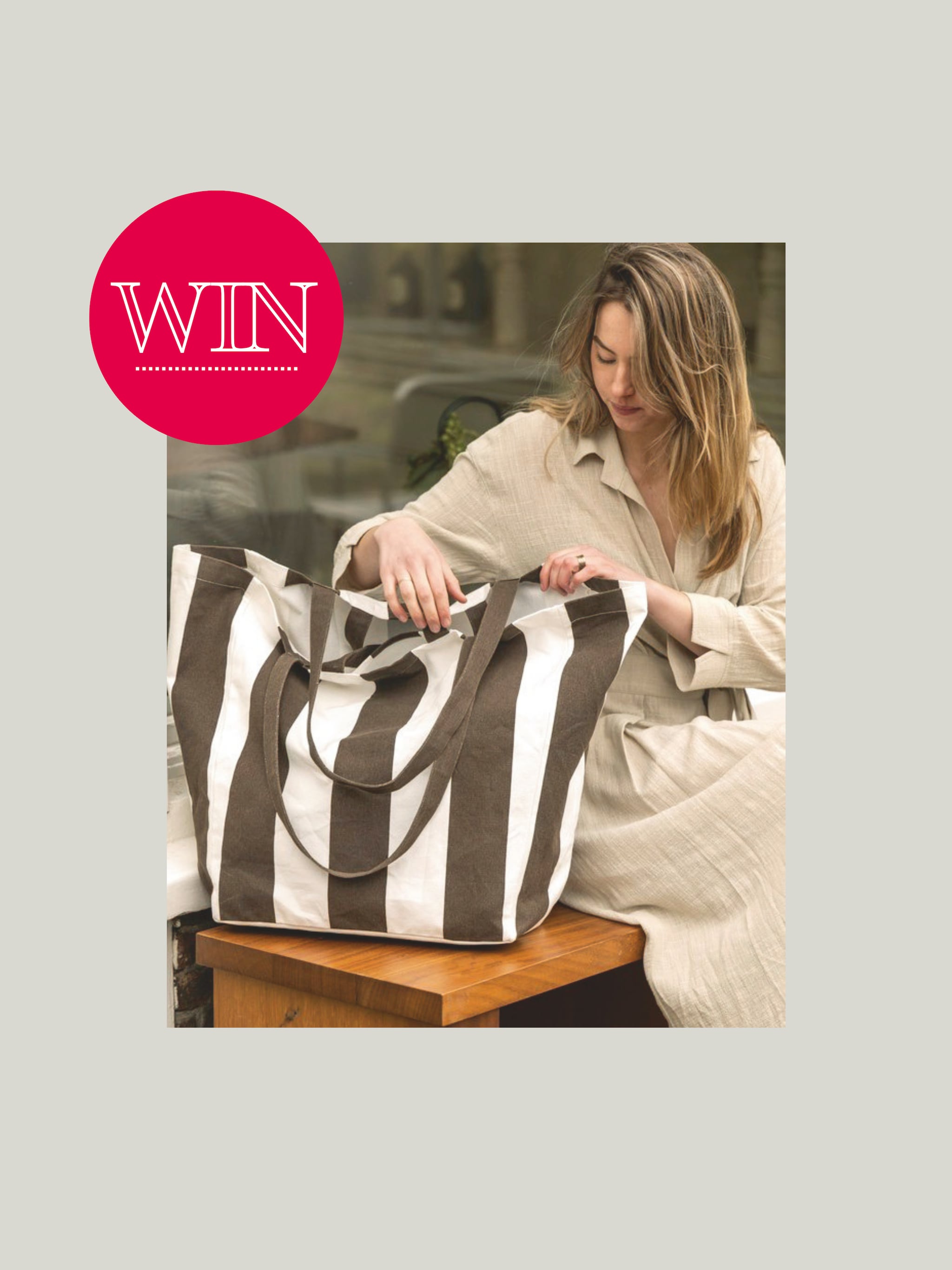 win vtwonen carry it bag