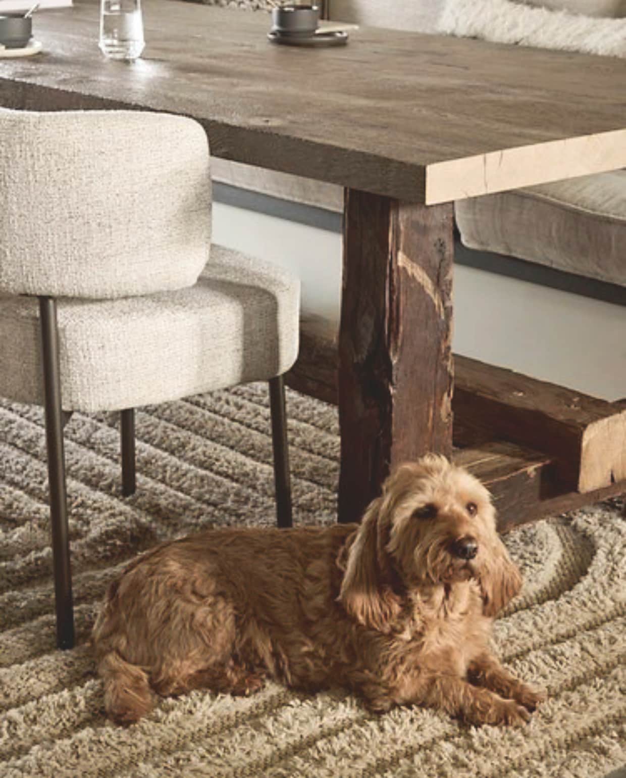 Eettafel De Bijzondere Tafel. Eetkamerstoelen Zen Lifestyle. Vloerkleed Trendcarpet. vtwonen Landelijk 05-2026 | styling Kristel van Leeuwen | fotografie Peggy Janssen