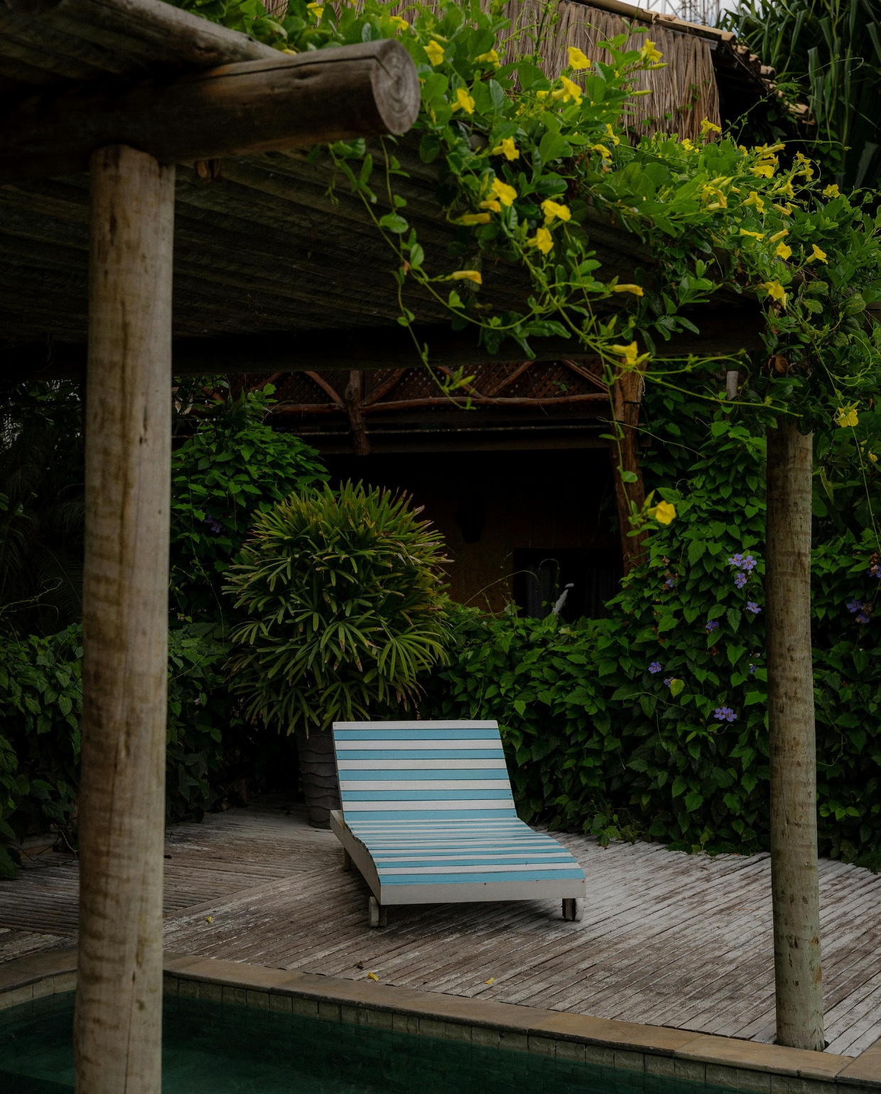 Pergola Pexels