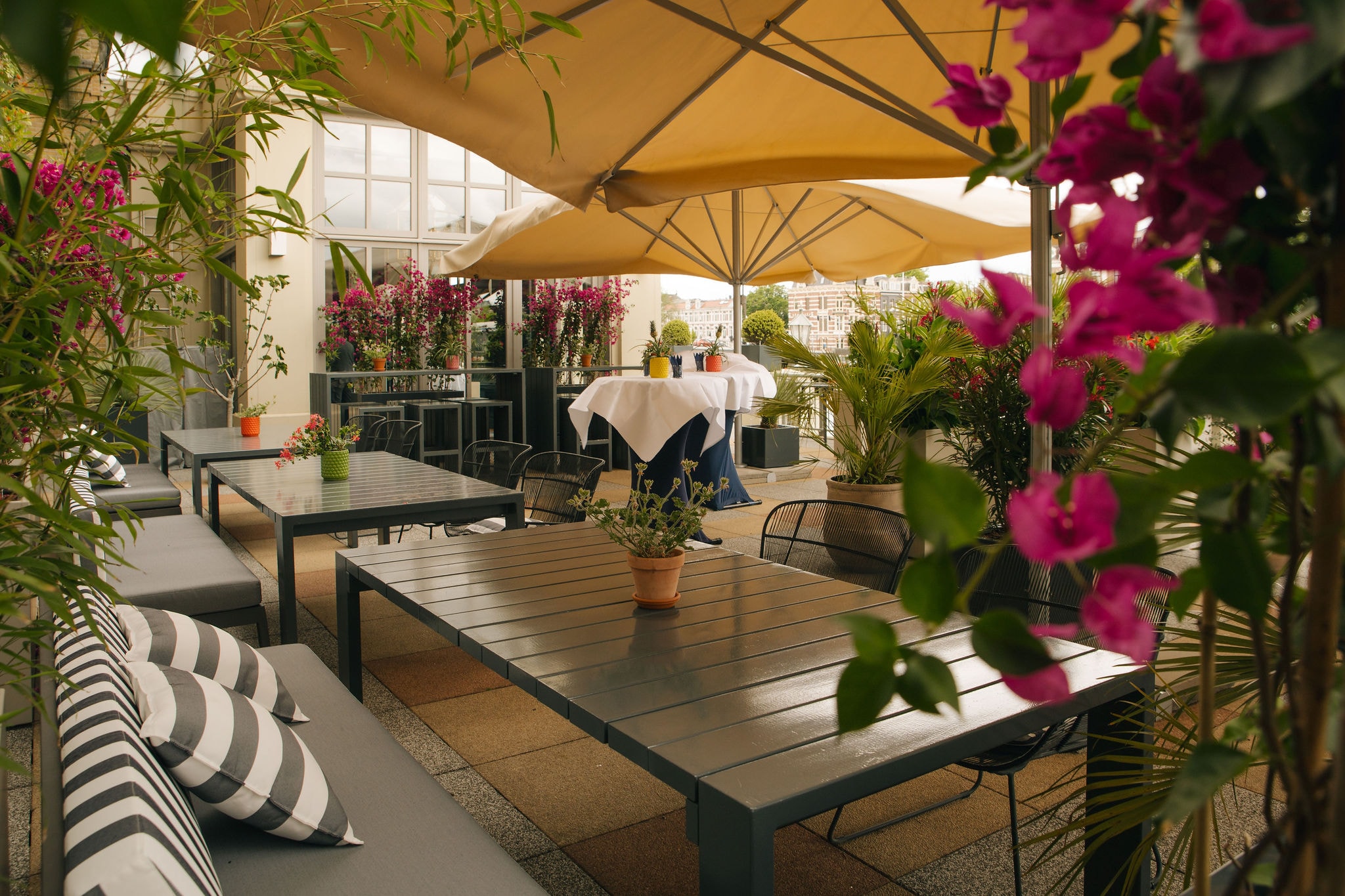 The Bols Spritz Garden The Orange Studio