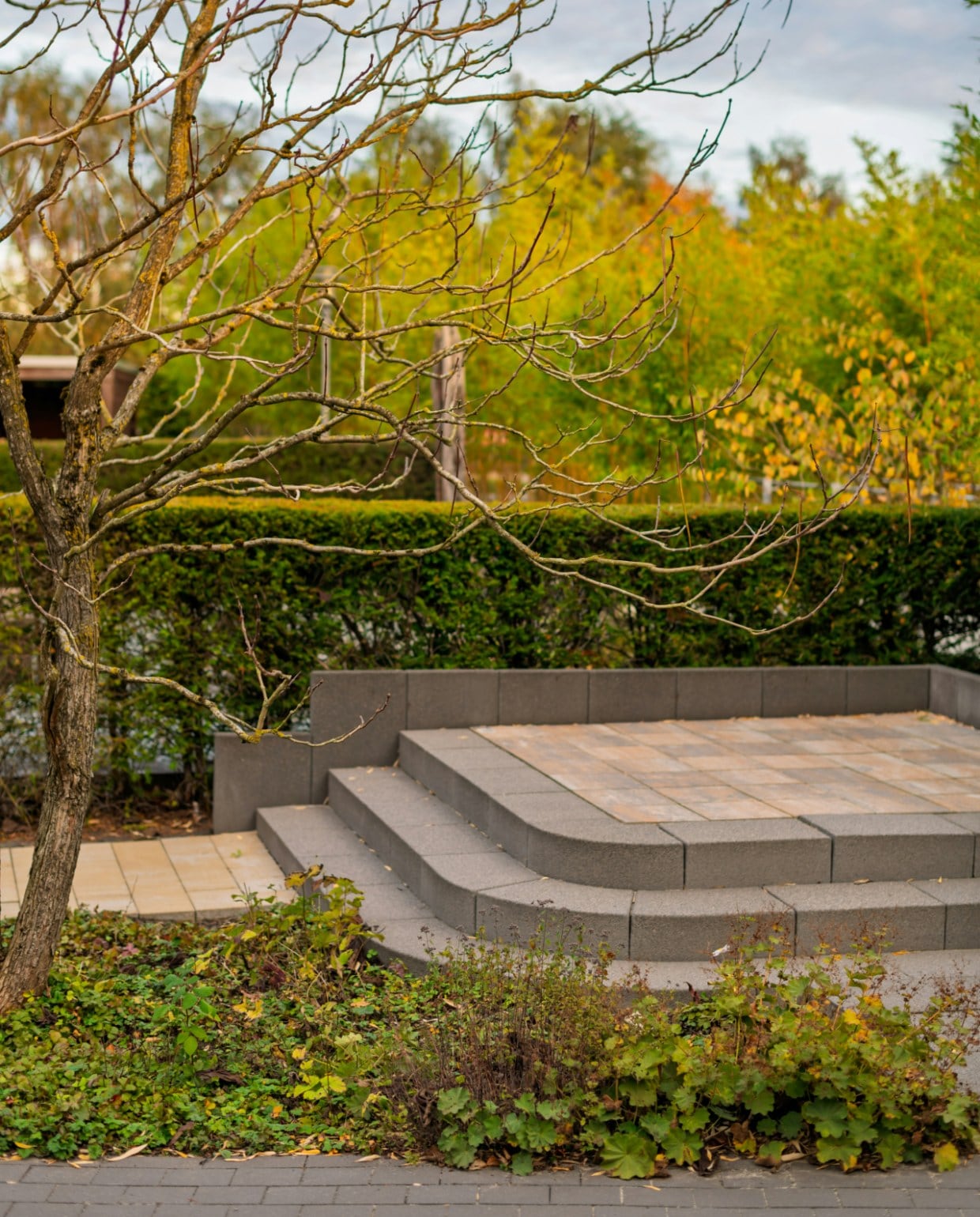 Terras met trappen Unsplash