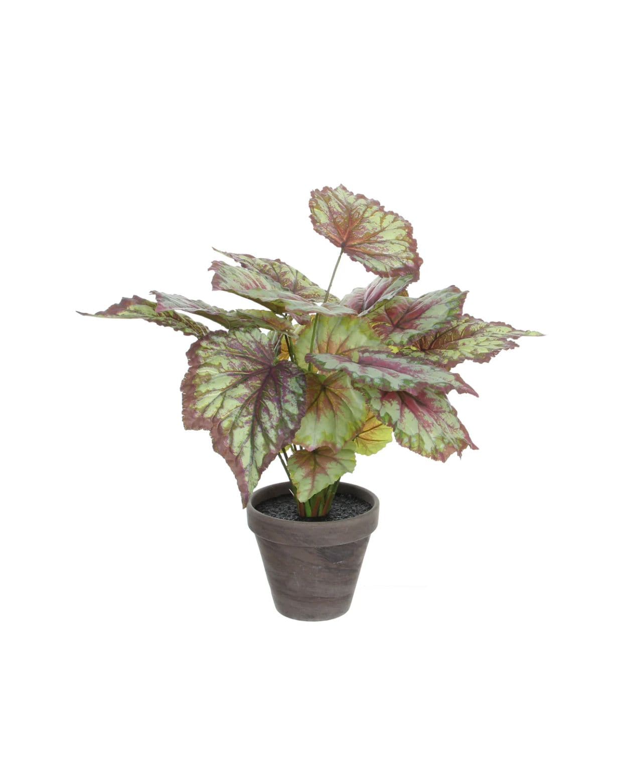 Mica Decorations Begonia Kunstplant in Bloempot Stan - H40 x Ø38 cm - Rood Mica Decorations