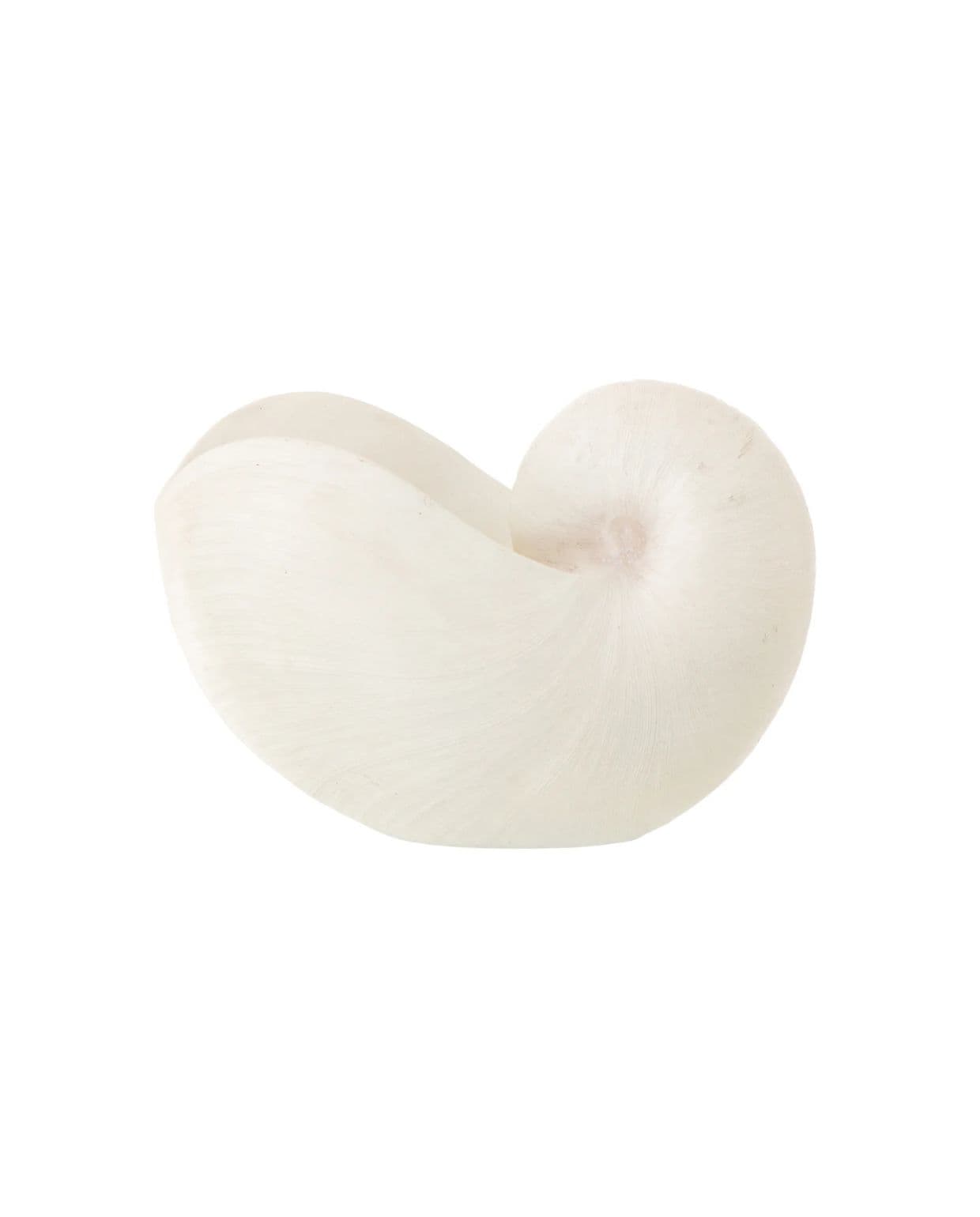 J-Line decoratie Schelp - polyresin - wit J-line