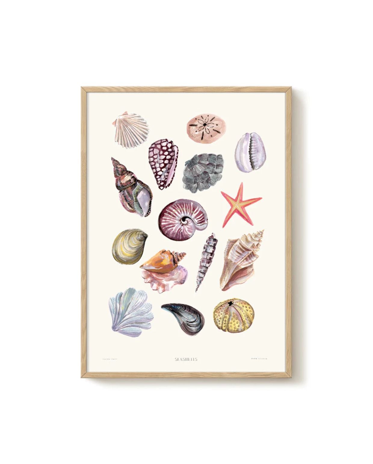 Laura - Seashells - PSTR studio Kunst Poster Pstr studio