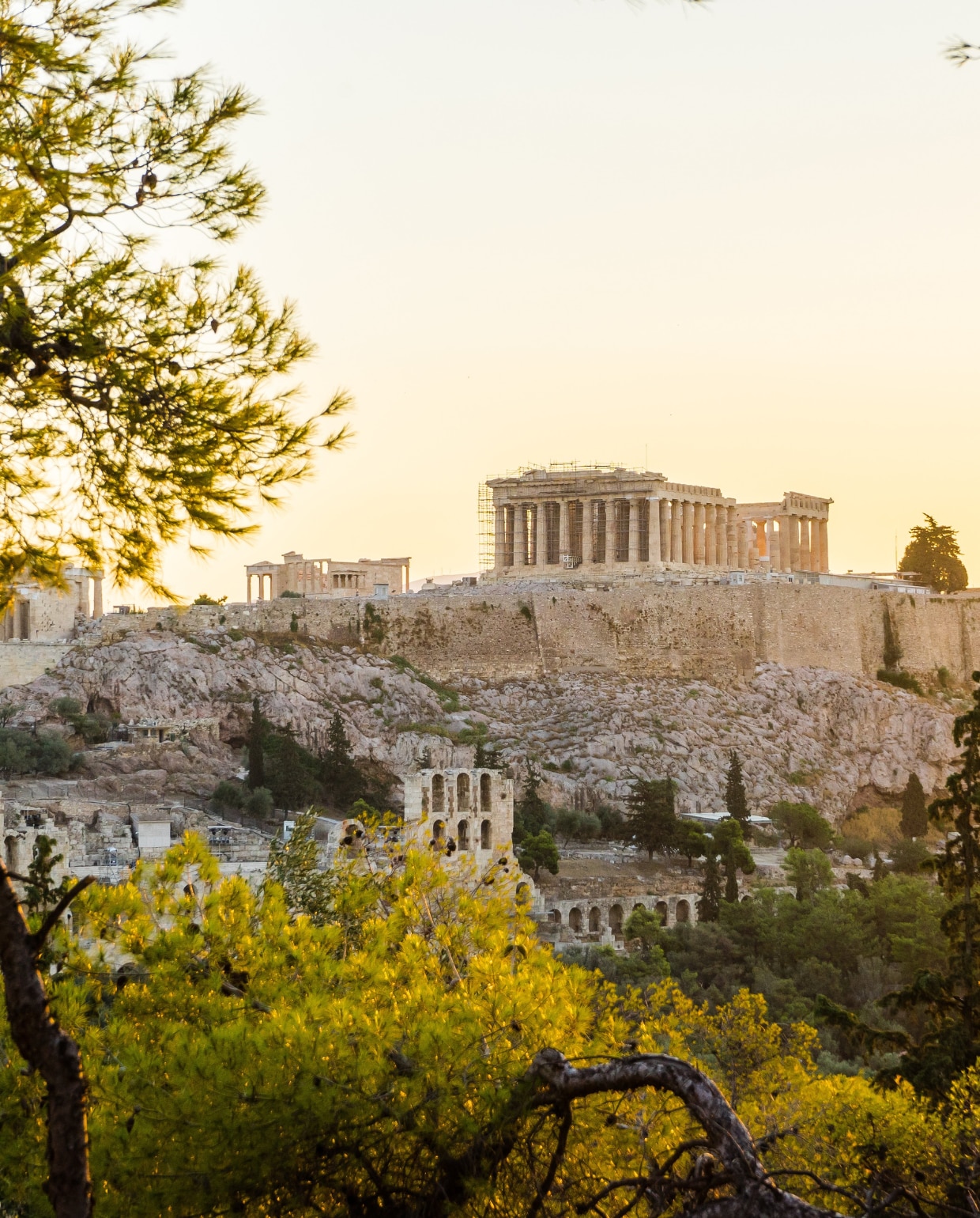 Athene
