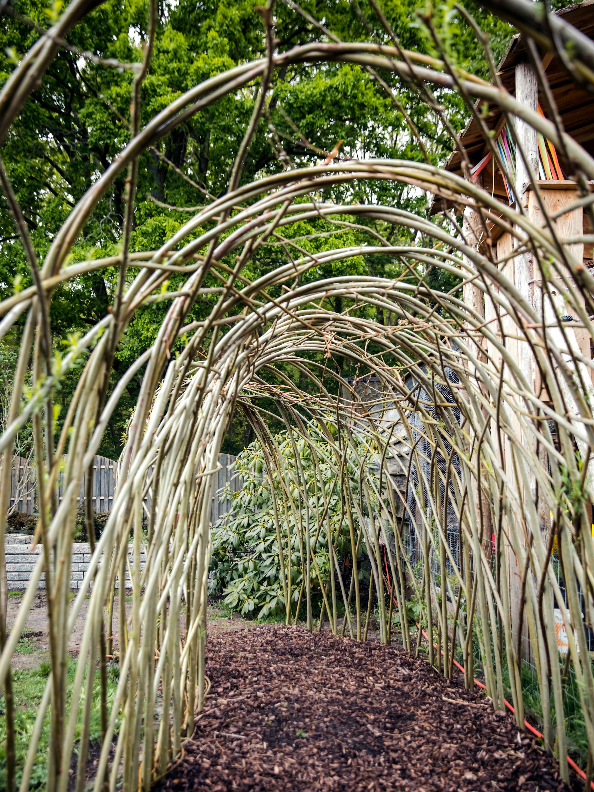 Piet-Hein Spieringhs vlechtwerk vtwonen Landelijk 08-2026 | Fotografie Ernie Enkelaar