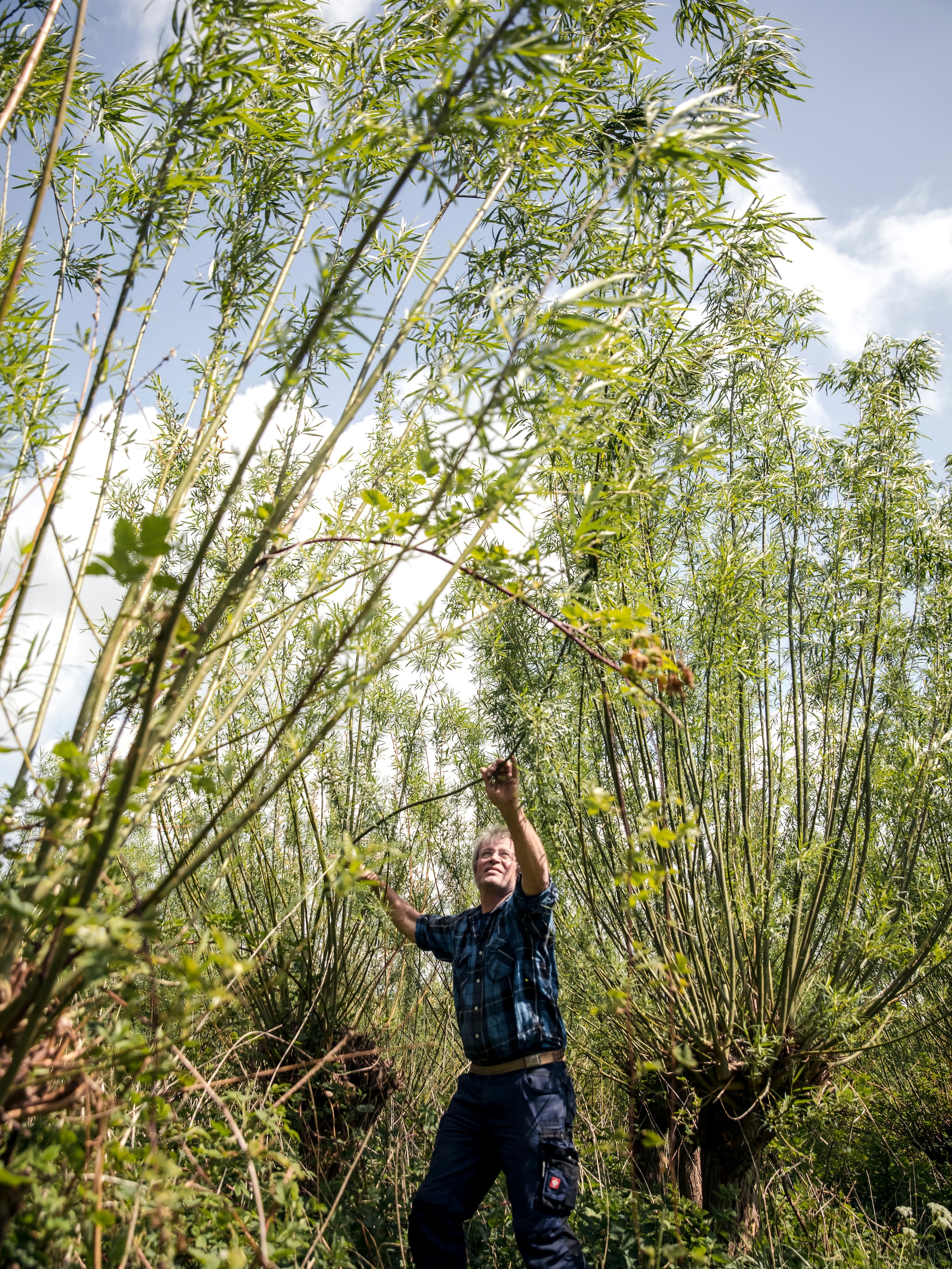 Piet-Hein Spieringhs vlechtwerk vtwonen Landelijk 08-2026 | Fotografie Ernie Enkelaar