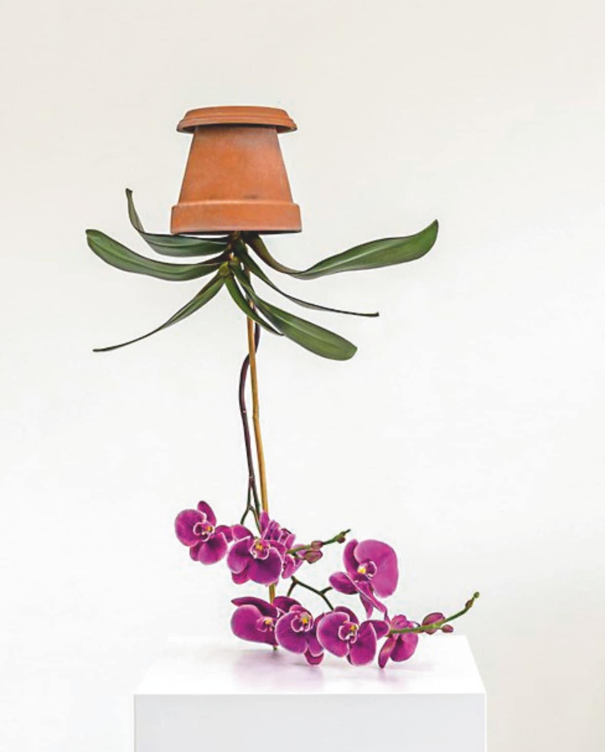 Sculptuur Arrangement_593, 2023, Tony Matelli, courtesy Maruani Mercier, België. Tony Matelli