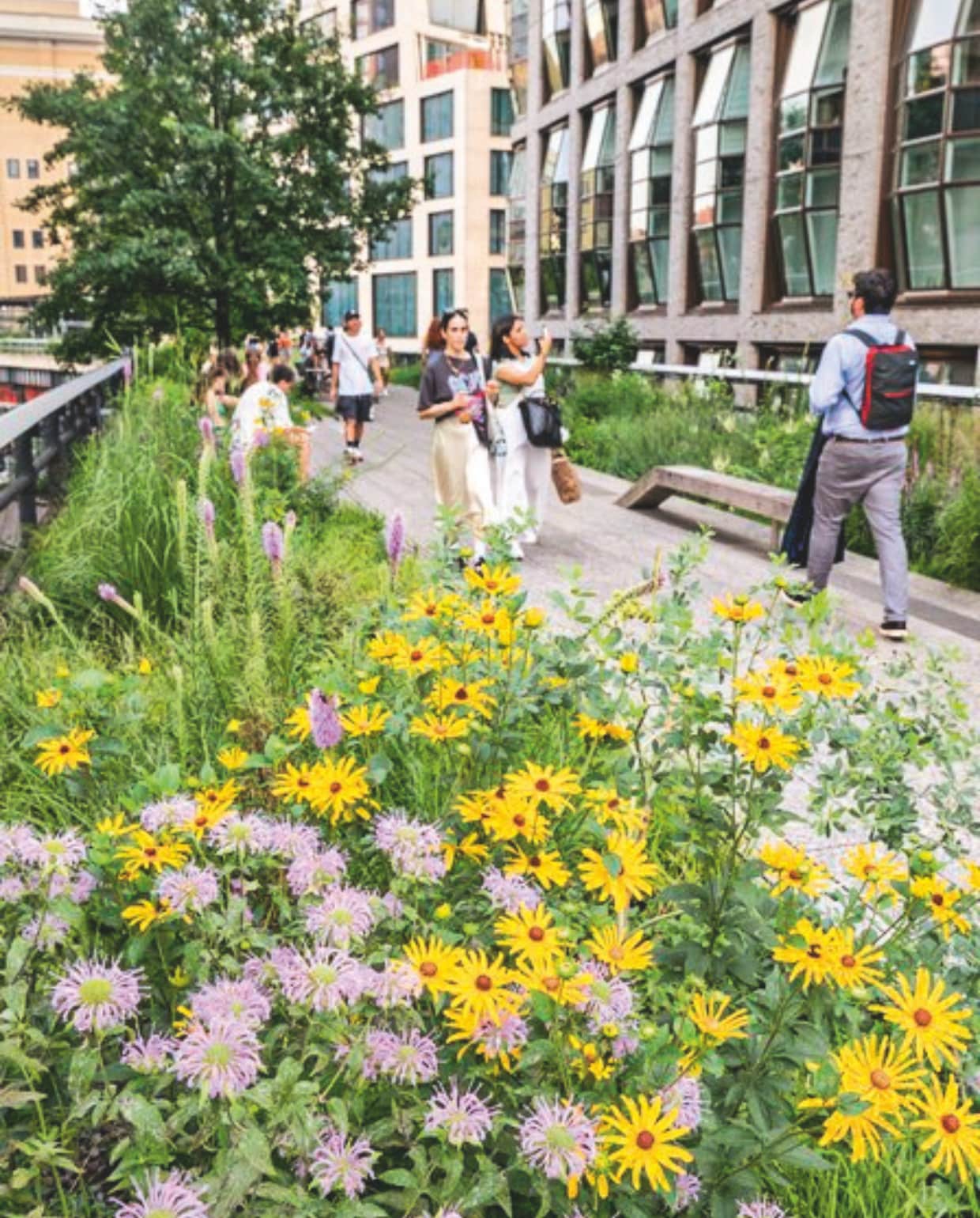 Fotografie Carlos Sanfer, courtesy of the High Line [High Line Park] | Copyright Tony Matelli, Courtesy Maruani Mercier, Belgium (kunstwerk Tony Matelli) High Line Park
