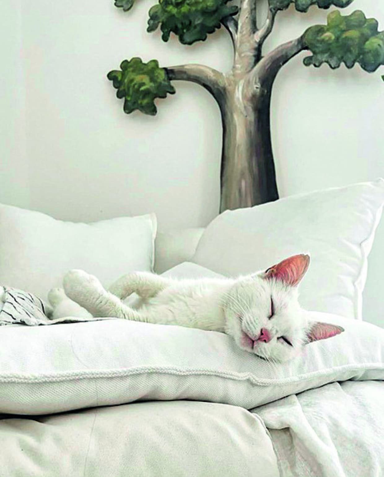 Poes Mimi  Marcantonio Raimondi Malerba