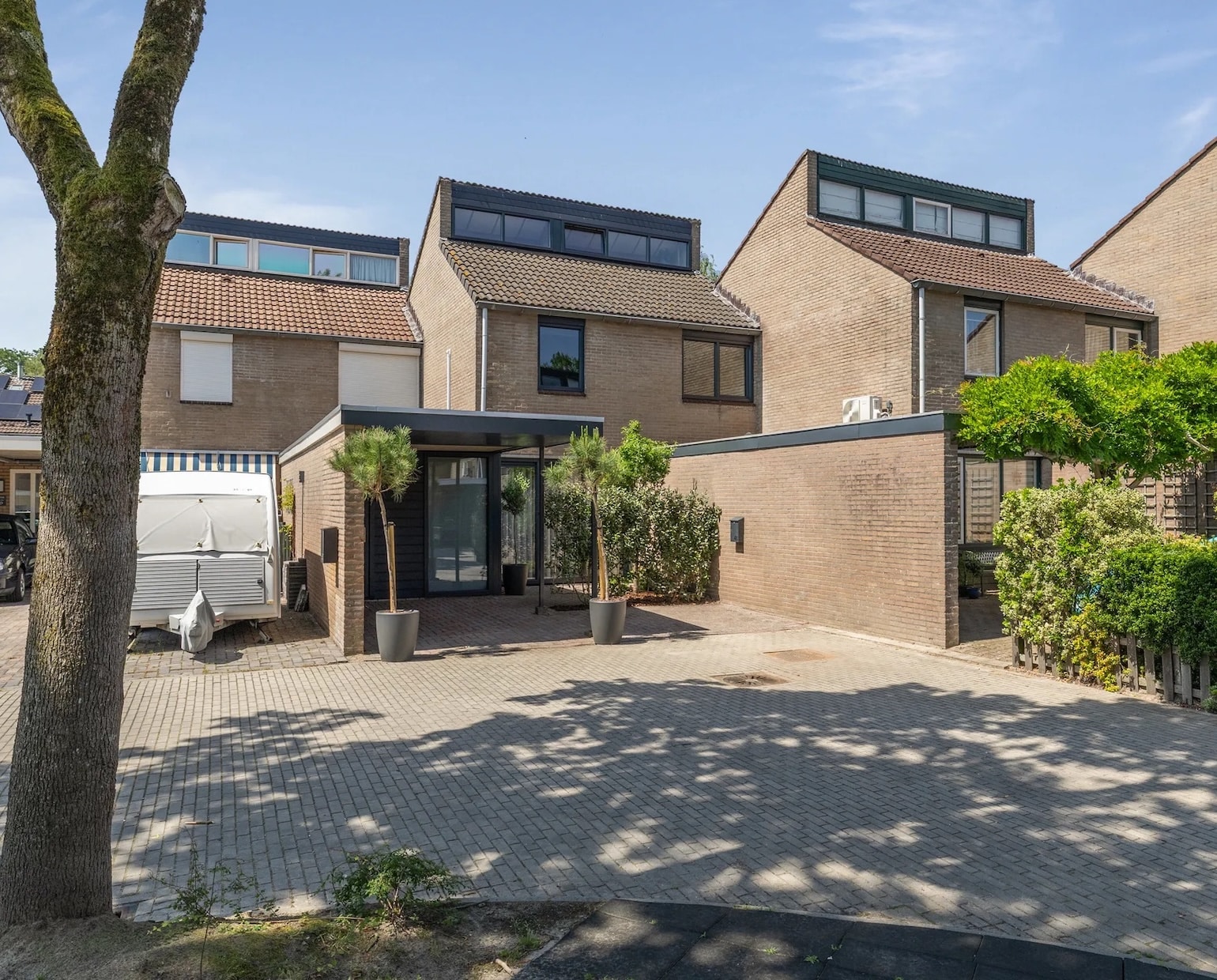 woning emmen tropisch interieur tuin