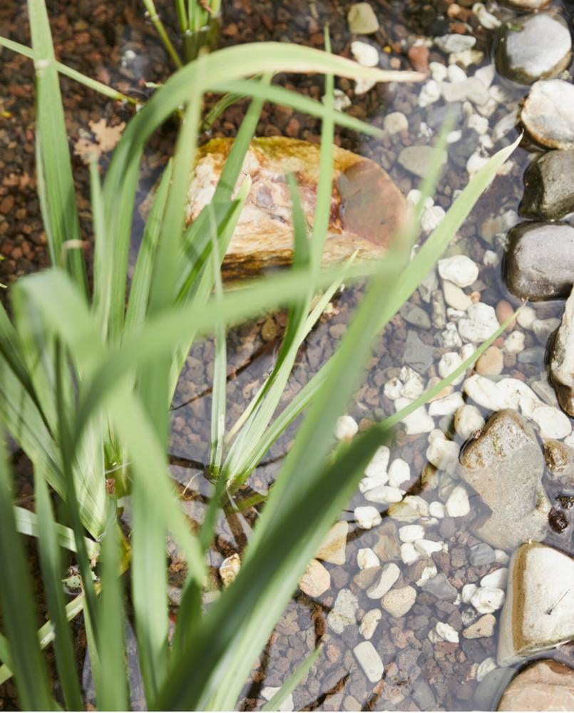 vtwonen TUIN 3 - 2021 | styling Fietje Bruijn | fotografie Alexander van Berge