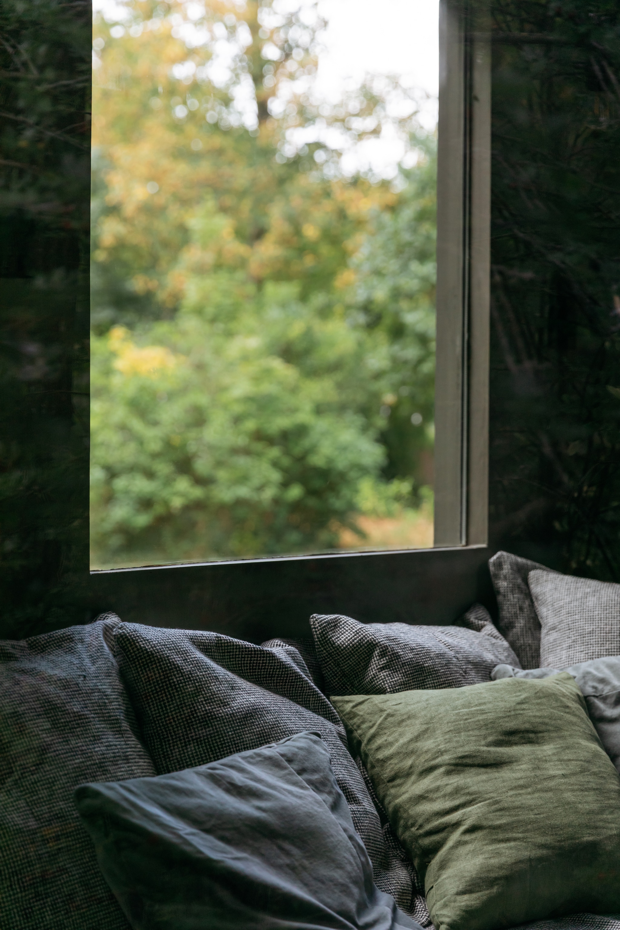 Gröna Huset tiny house vtwonen 09-2026 | fotografie On a hazy morning