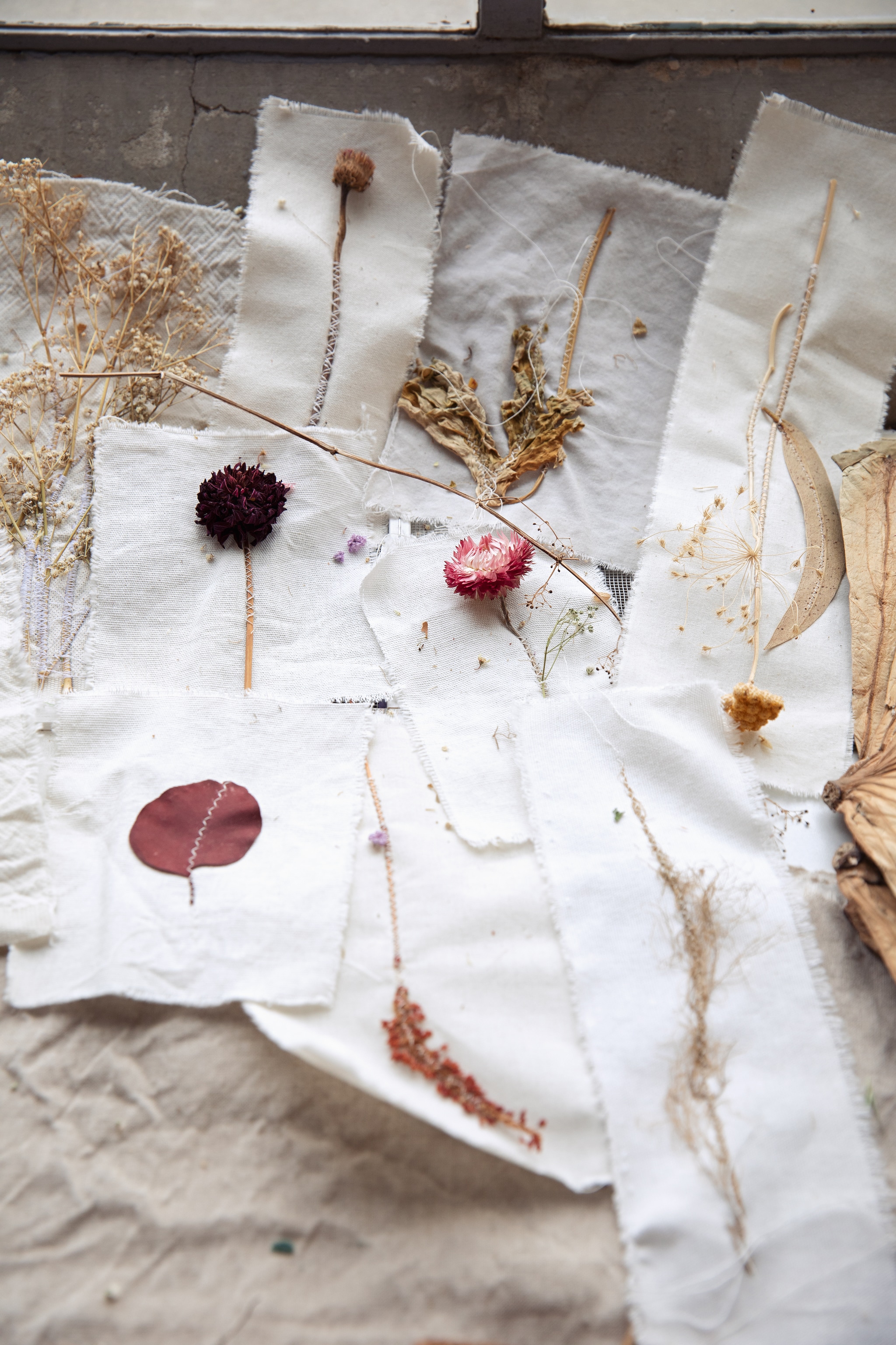 Loesje van Herp droogbloemen vtwonen Landelijk 09-2026 | styling Ilona Jongepier | fotografie Dana van Leeuwen