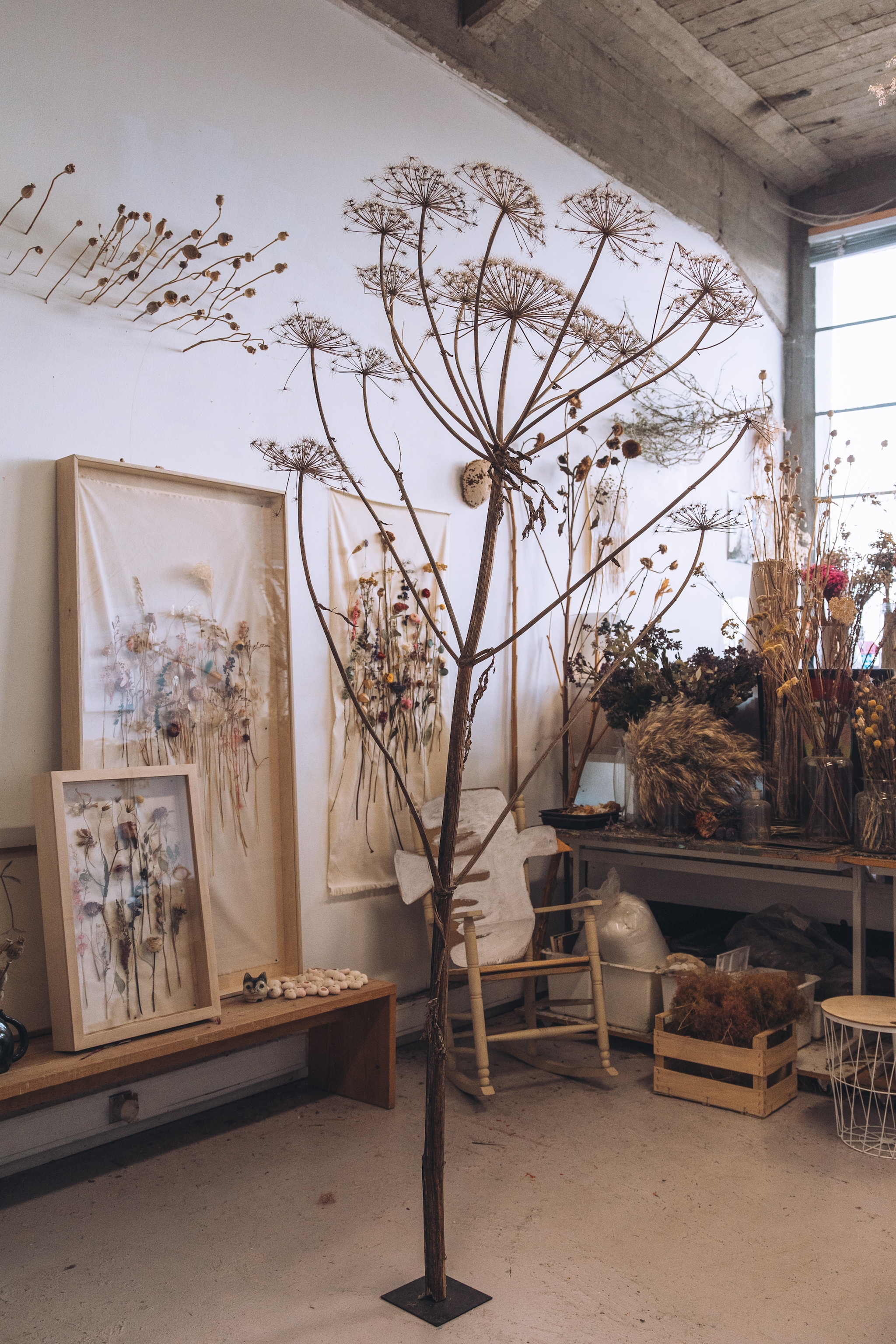 Loesje van Herp droogbloemen vtwonen Landelijk 09-2026 | Storytelling by Femke Dam