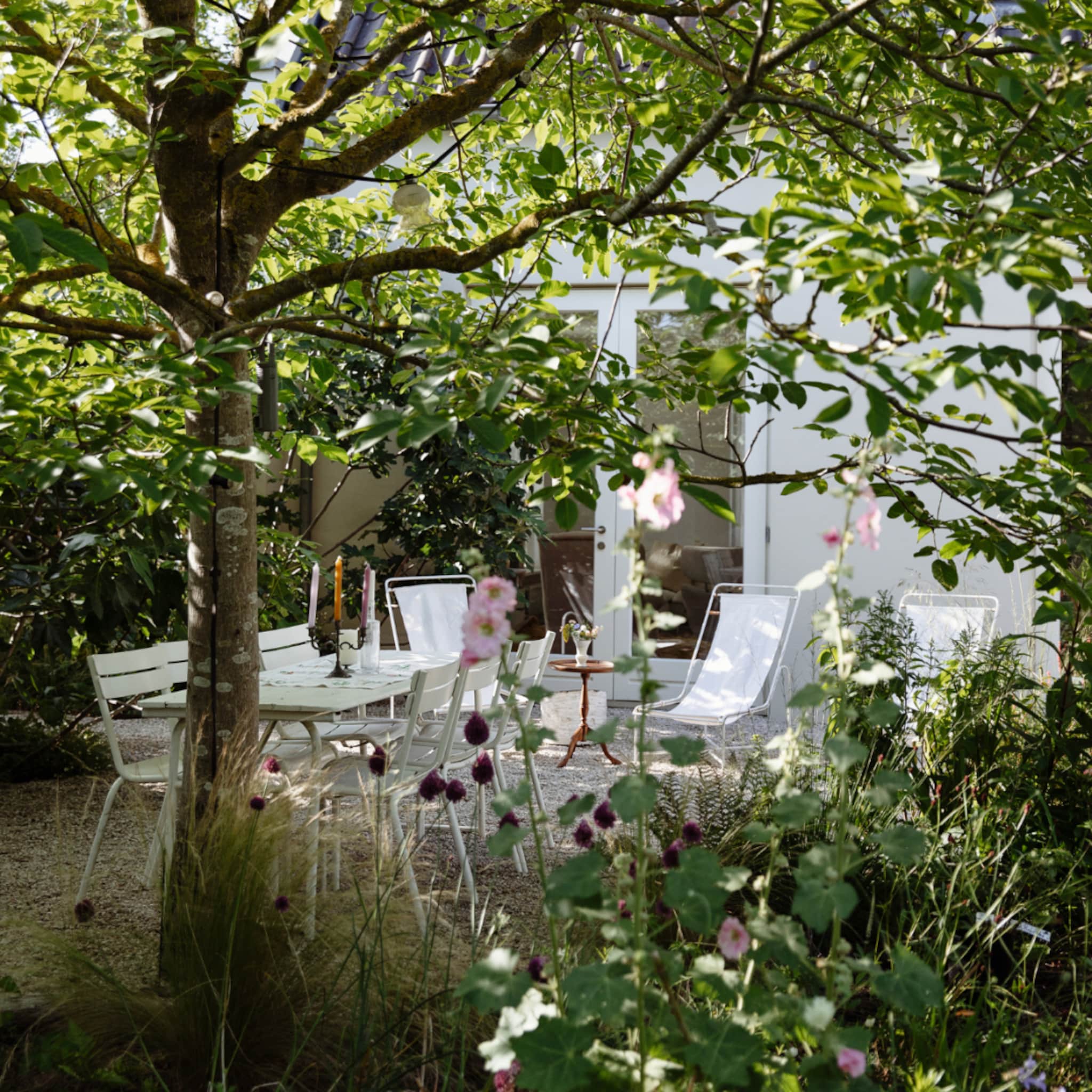 linkinbio-tuin-20260804-zomer-planten