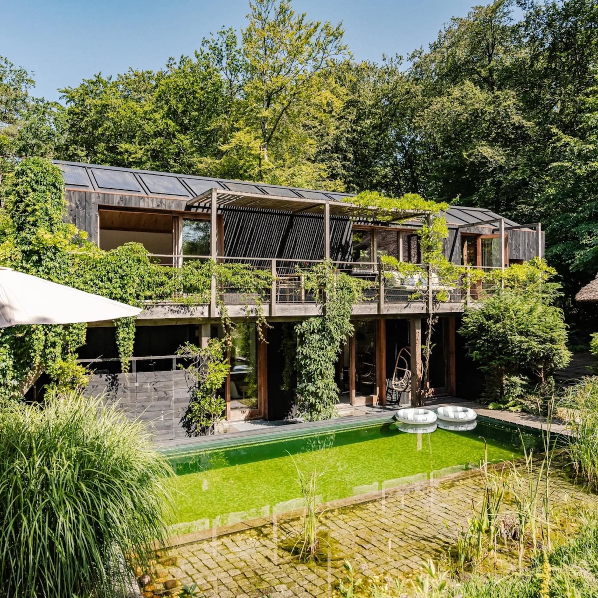 duurzame villa zwemvijver natuurzwembad bloemendaal