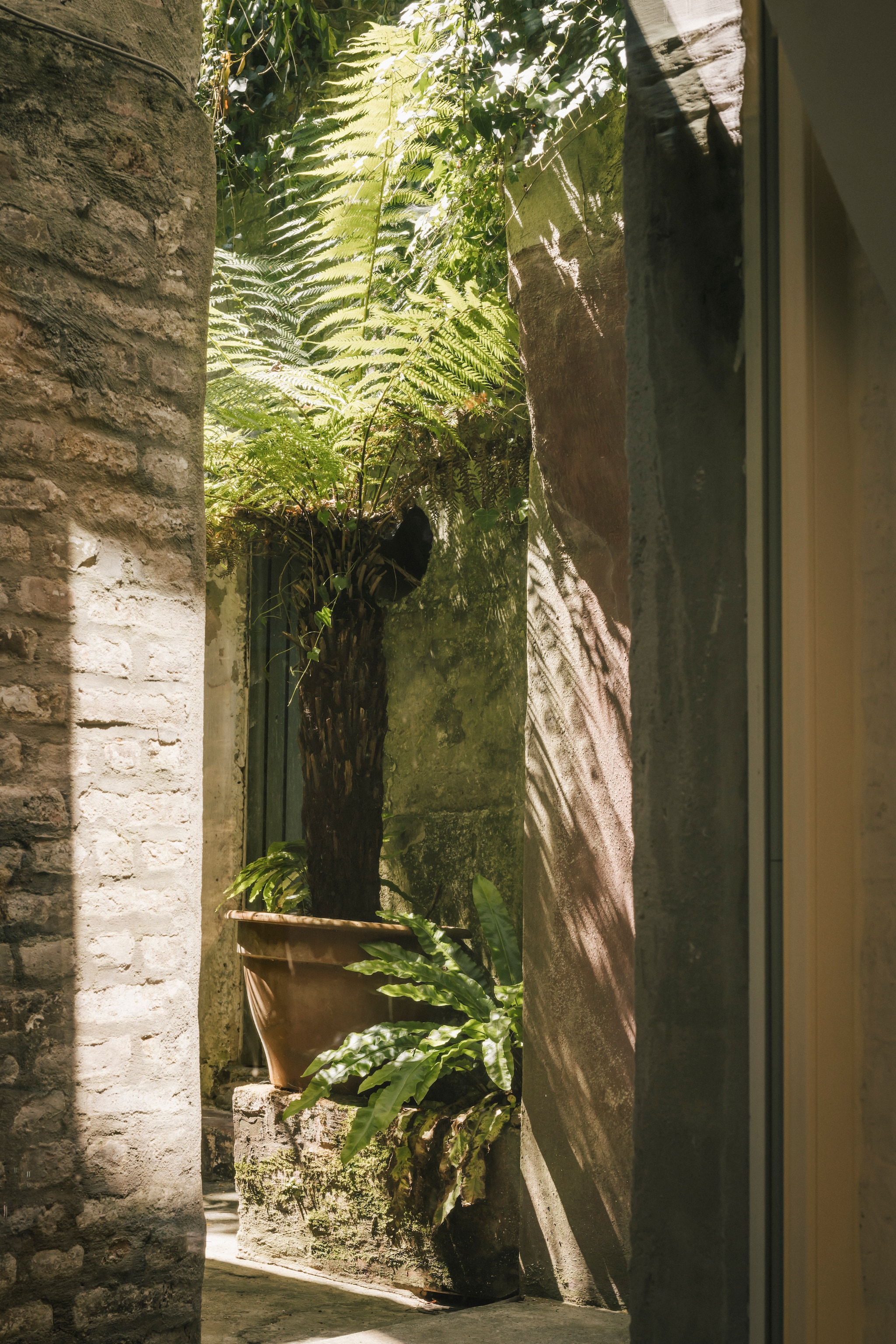 Doorkijkjein de tuin. vtwonen design 8-2026 | Fotografie Katoo Peeters
