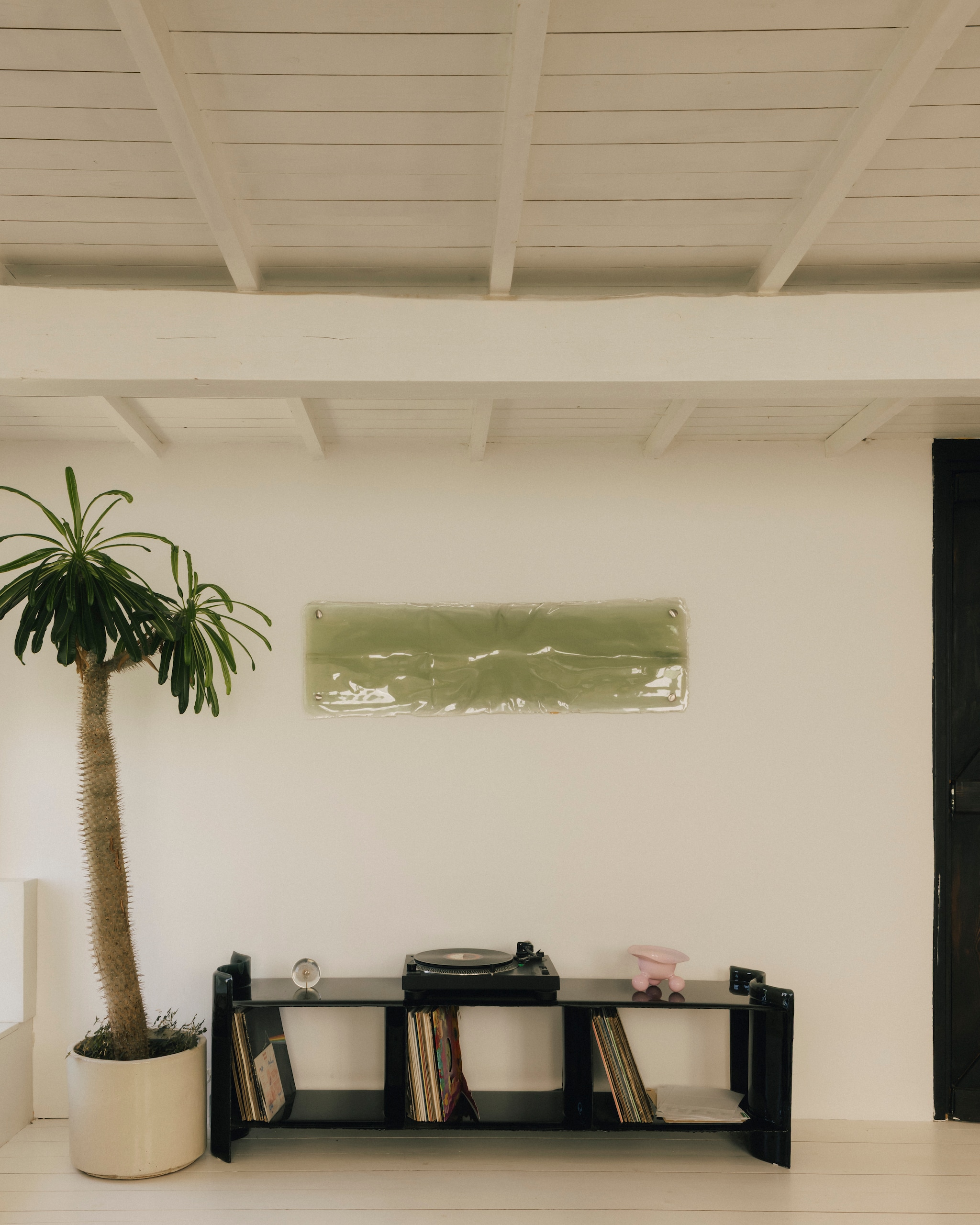 Open kast en wandobject van Lukas Cober. Plant Madagascar palm. vtwonen design 8-2026 | Fotografie Katoo Peeters