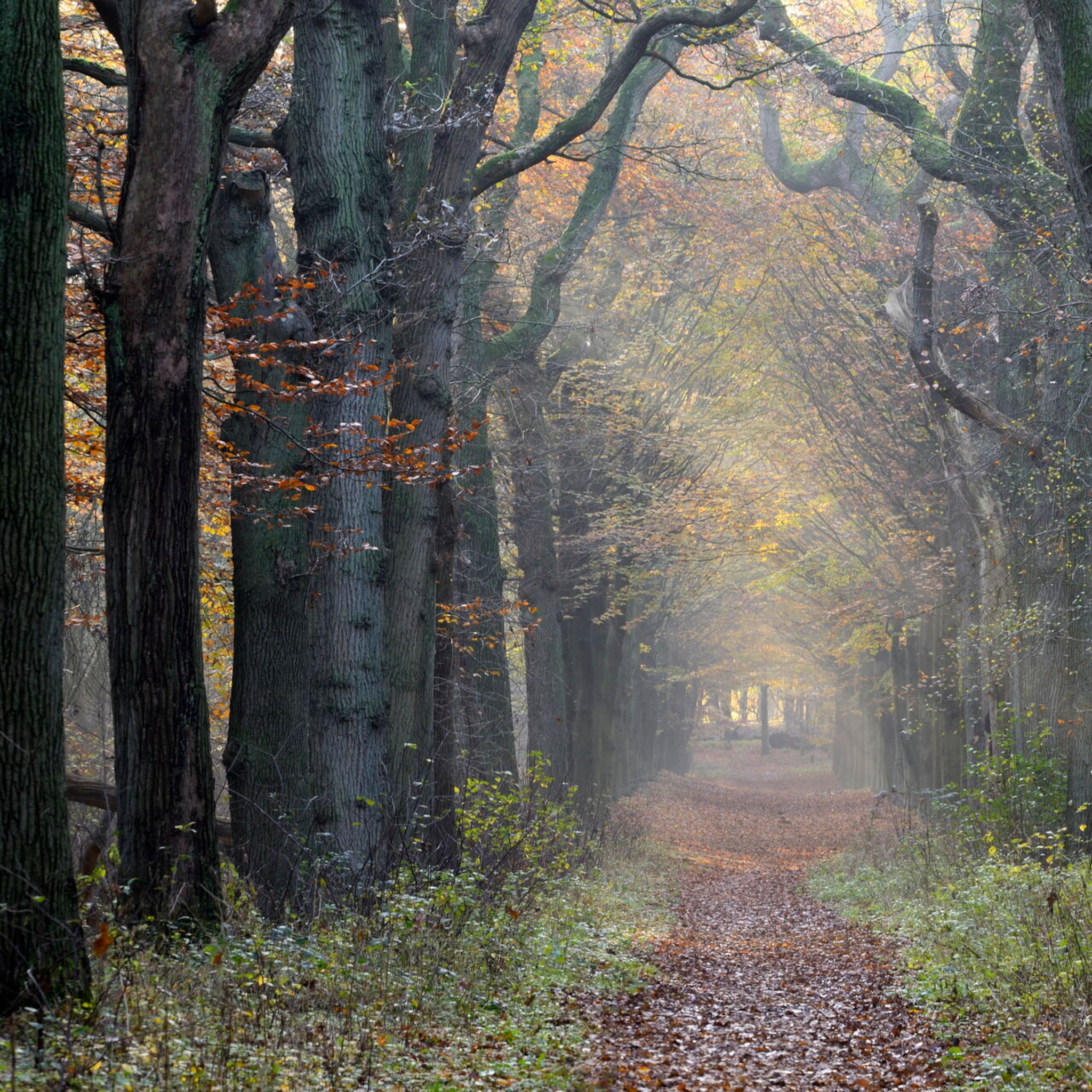 herfst wandelroutes adressen recept pompoensoep