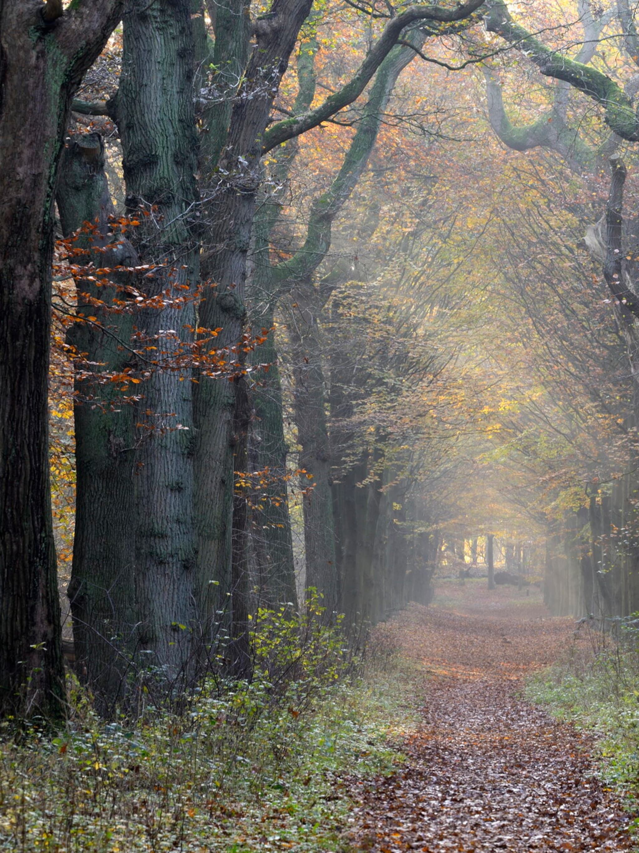 herfst wandelroutes adressen recept pompoensoep