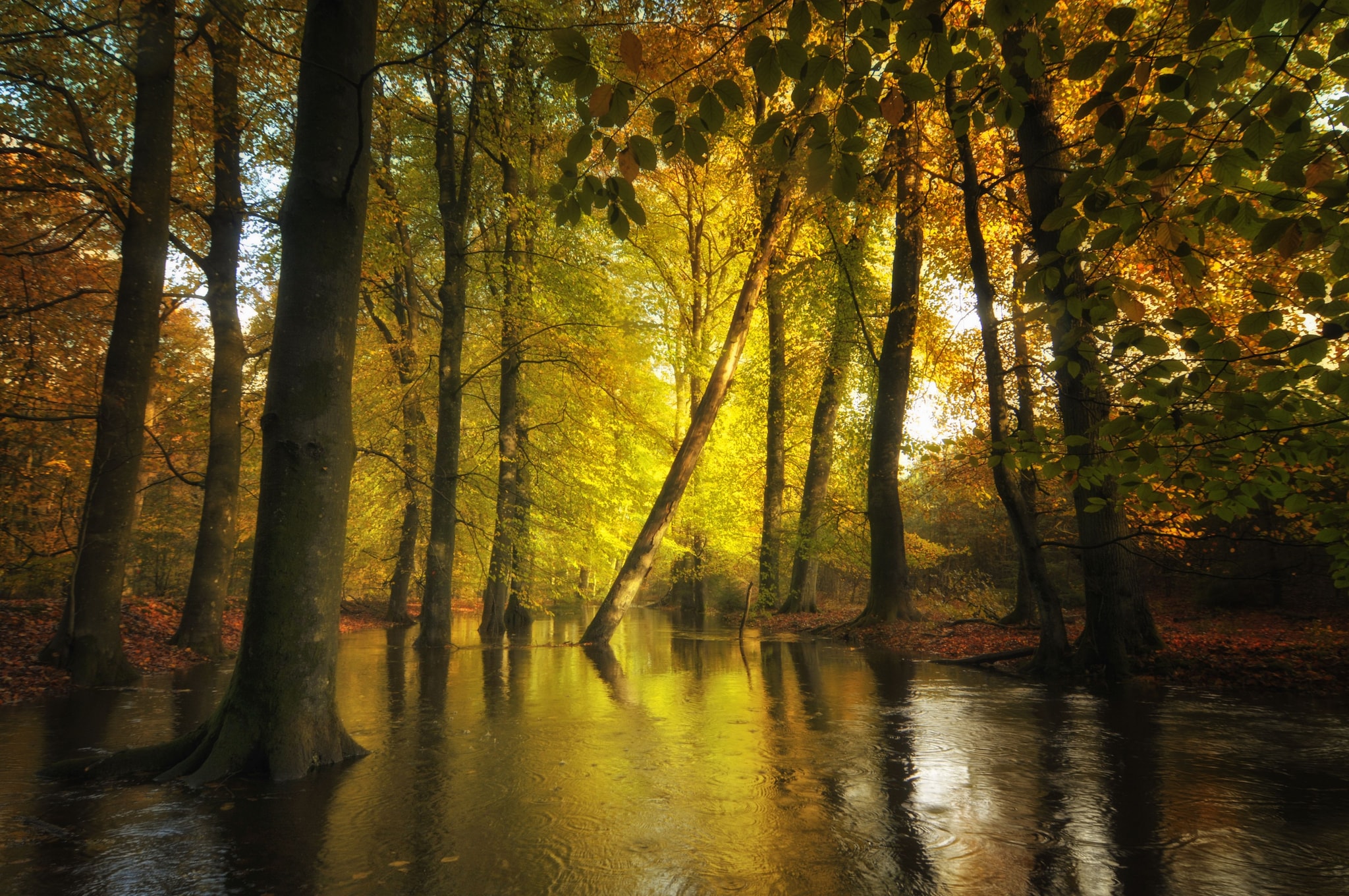Natuurmonumenten vtwonen Landelijk 10-2026 | Jan Paul Kraaij voor Natuurmonumenten