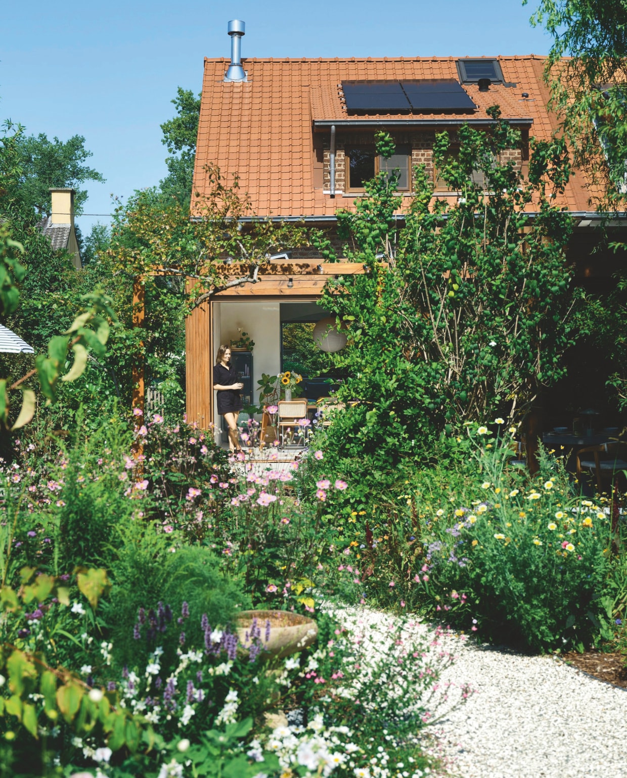 Weelderige achtertuin met onder andere anemonen, cosmos, salvia en margrieten. vtwonen 08-2026 | fotografie Mr. Frank