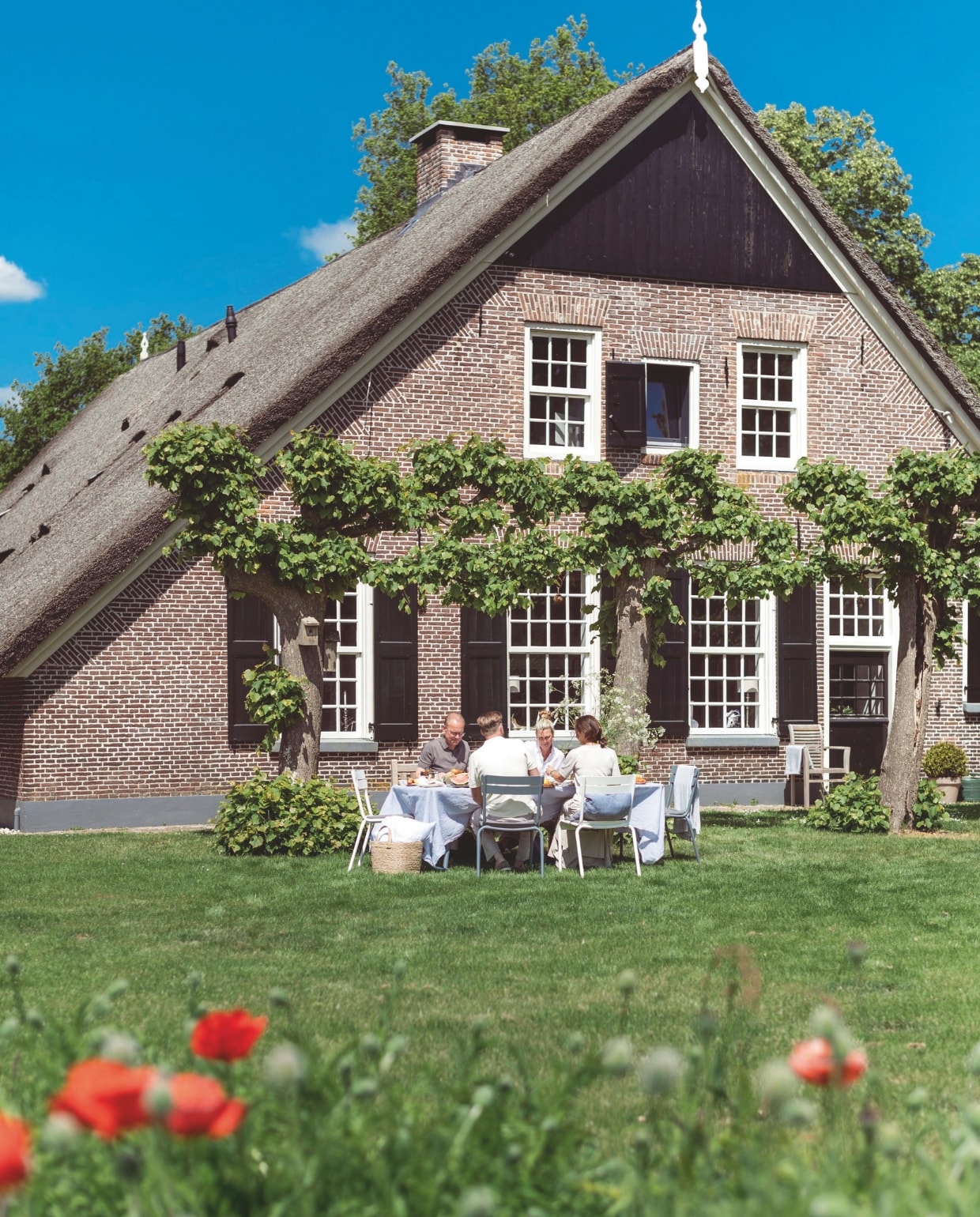 ‘Onder de bomenrij achter het huis eten we in de zomer heerlijk buiten.’ vtwonen Landelijk 7-2026 | fotografie Suzanne Paap