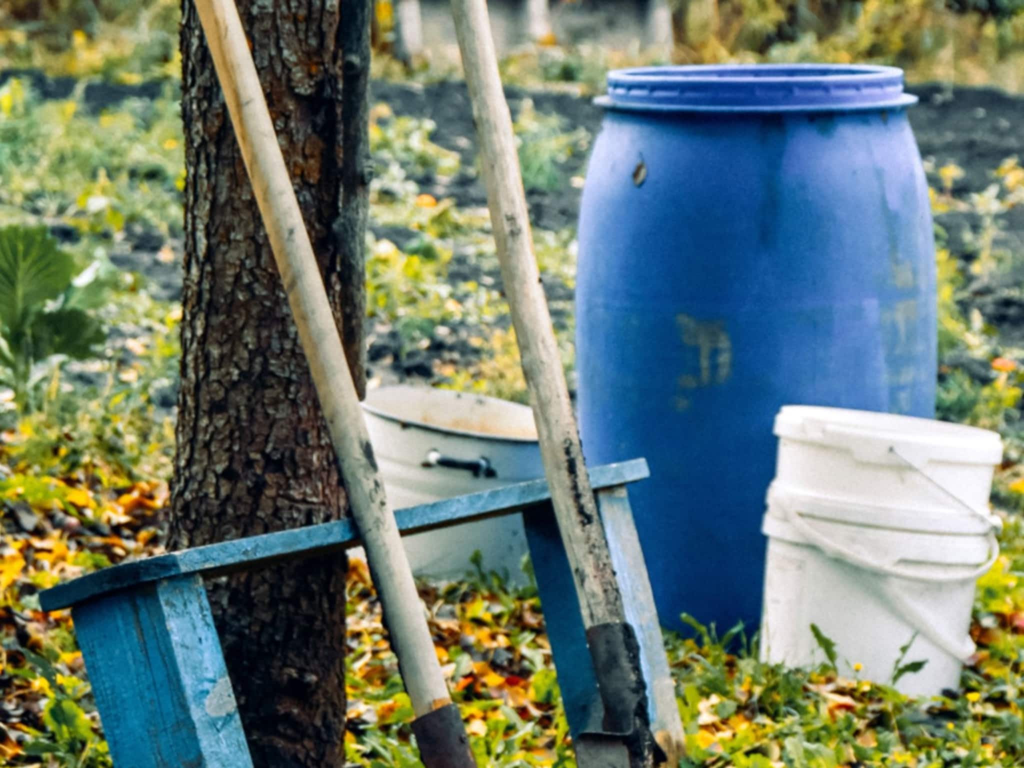 voordelen van regenwater opvangen
