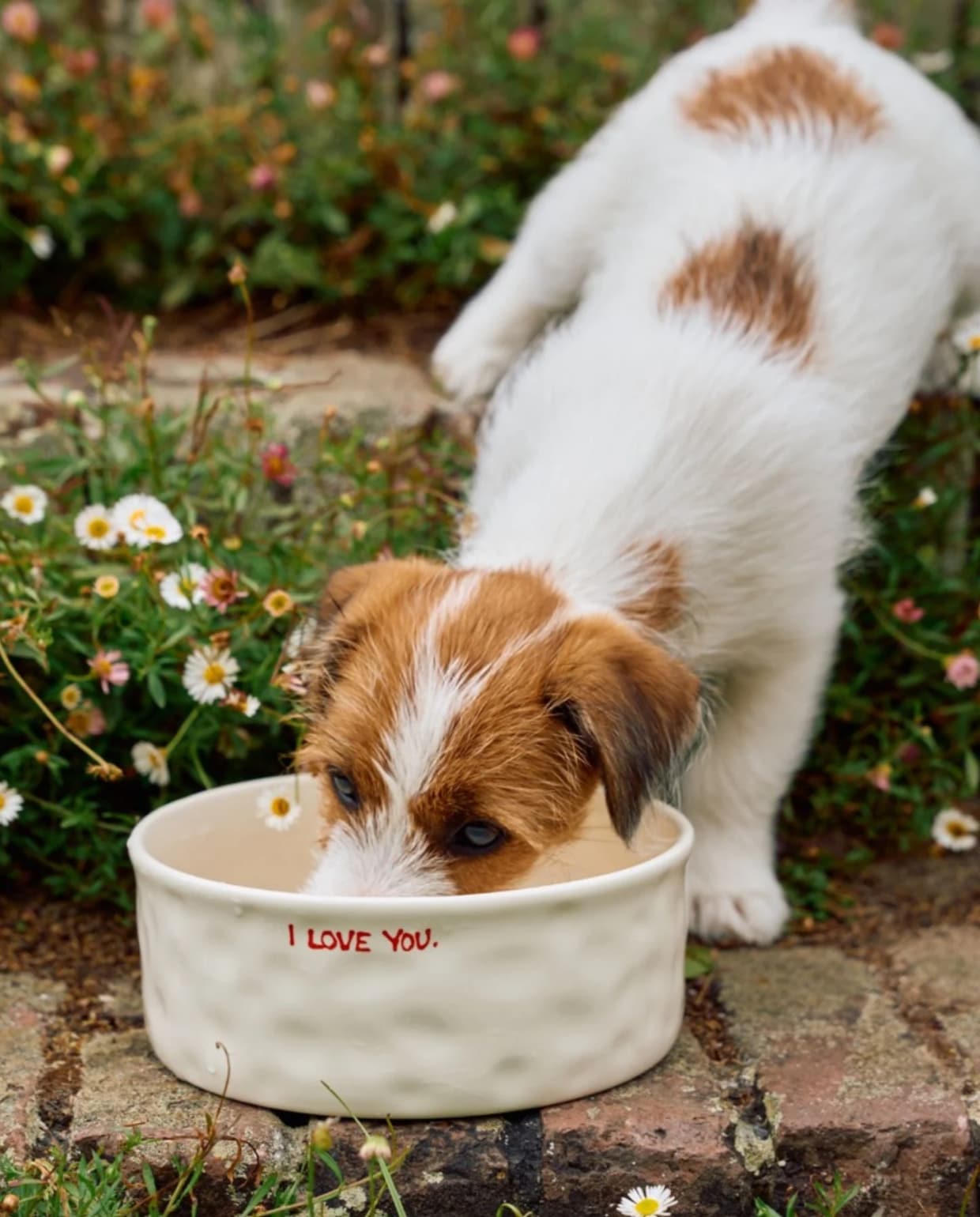 I Love You Pet Bowl Anna + Nina