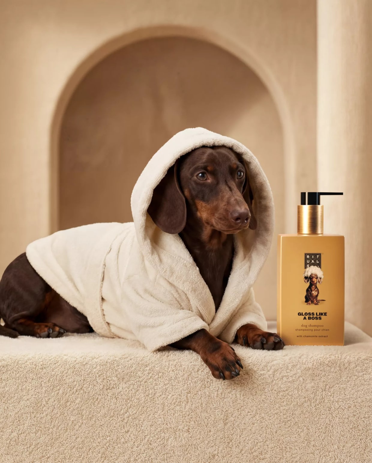 Dog Shampoo Rituals